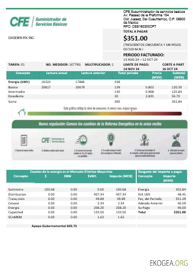 Modèle de facture de services publics d'entreprise CFE d'électricité du Mexique aux formats Word et PDF, entièrement modifiable